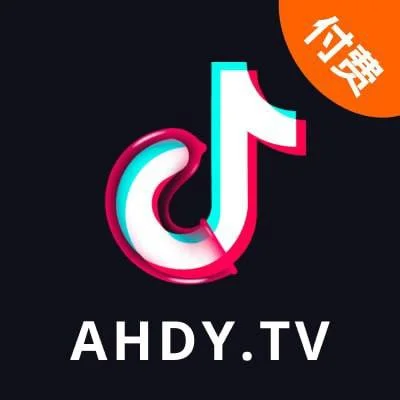 付费DY